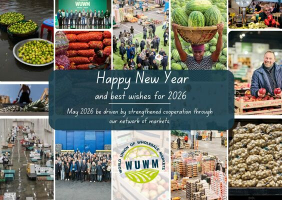 New year Card Photo Collage