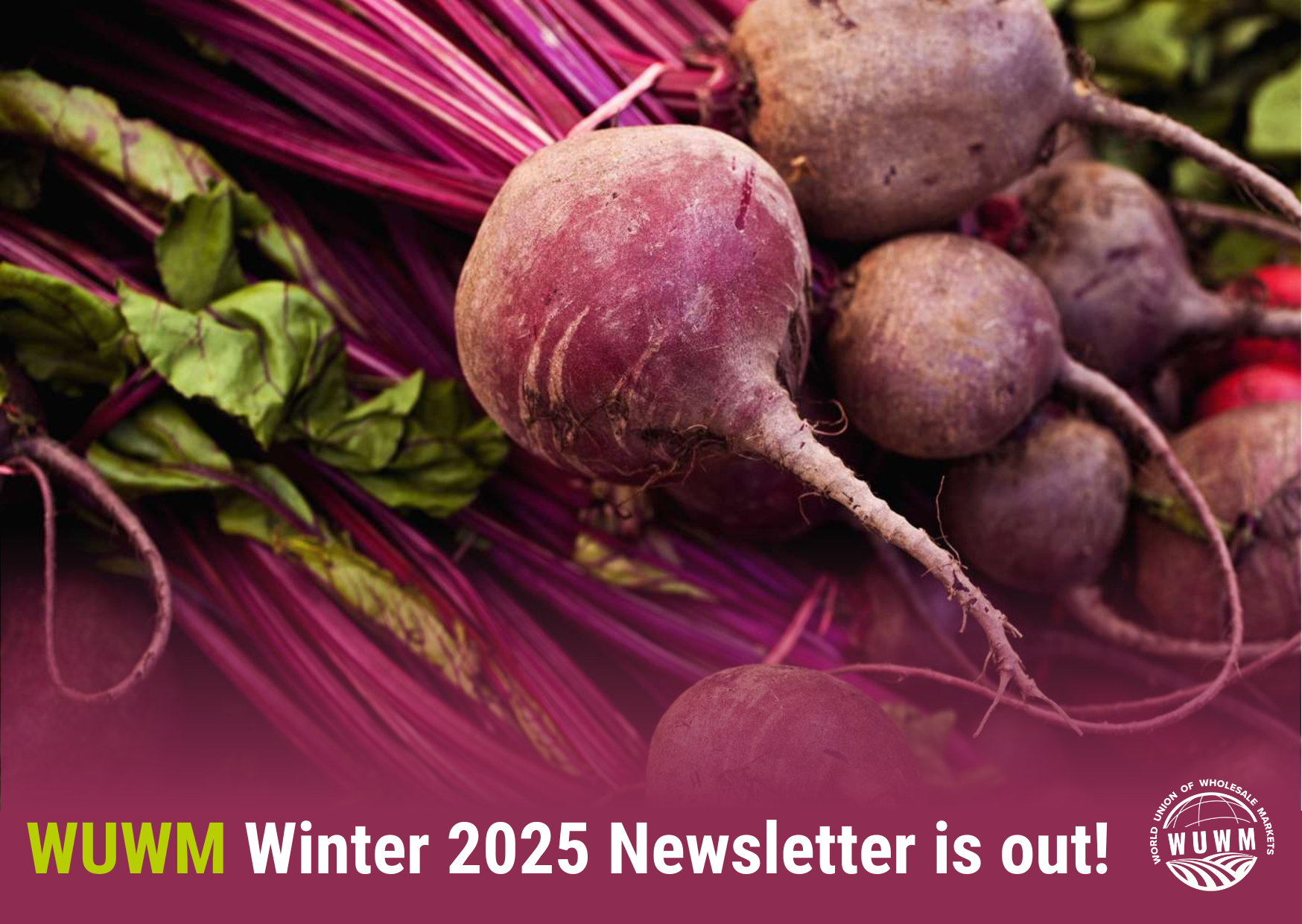 The WUWM Winter Newsletter is out !