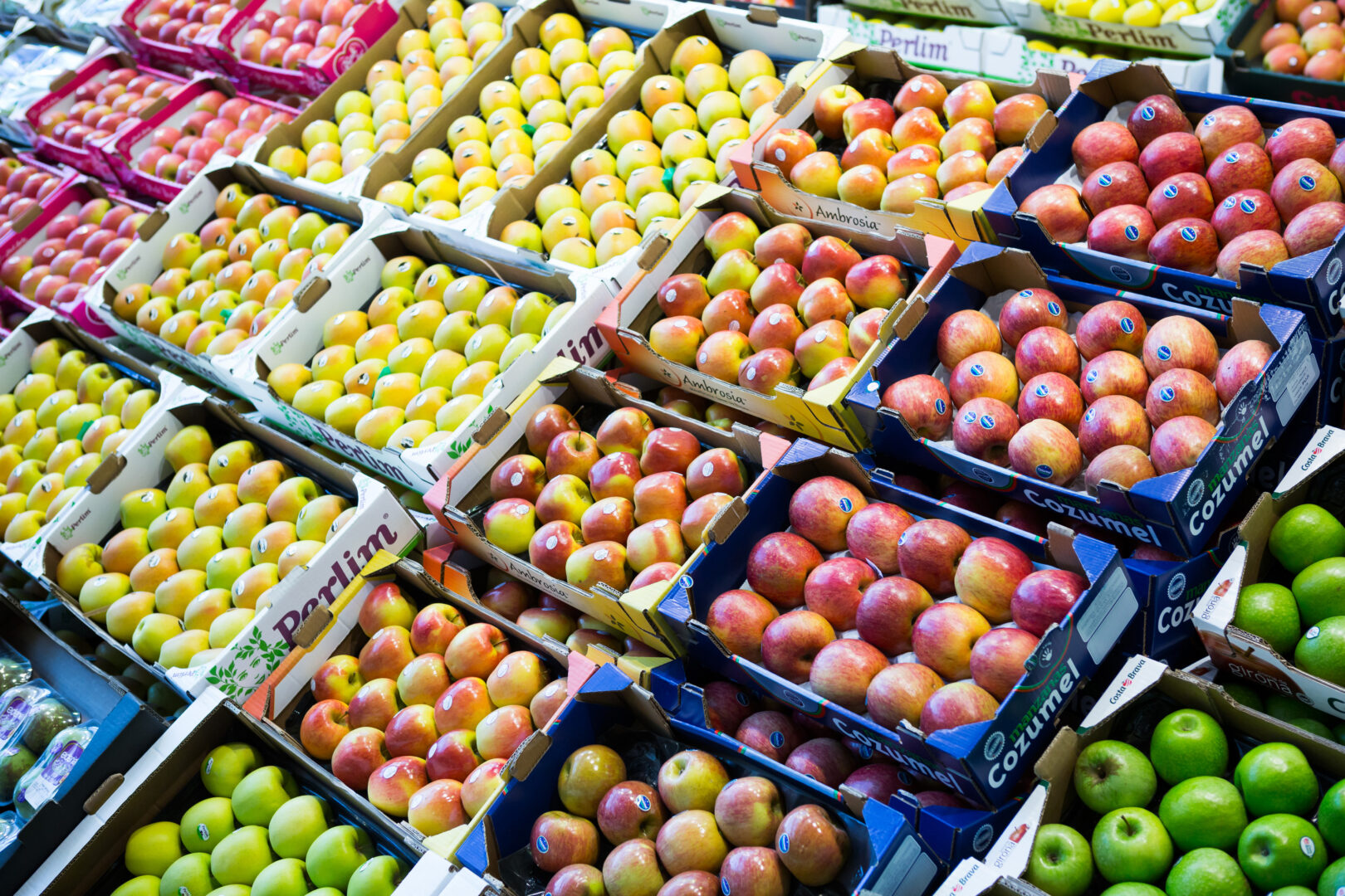 Immagine di copertina del gruppo