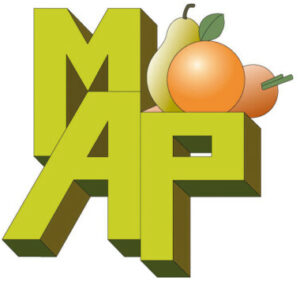 Logo du groupe Mercado Abastecedor do Porto